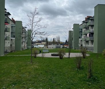 Urbanes Wohnerlebnis im Zentrum von Wels mit hervorragender Infrast... - Photo 2