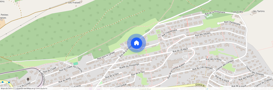 2720, Tramelan, Rue De La Printanière