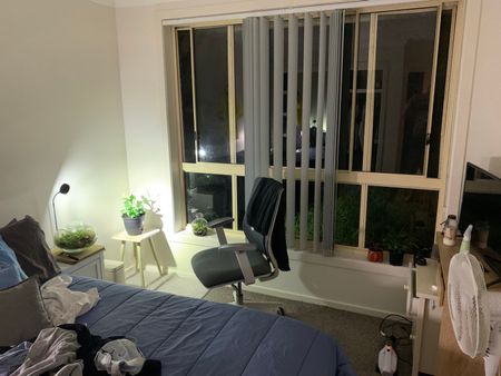 Berowra Heights - Photo 3