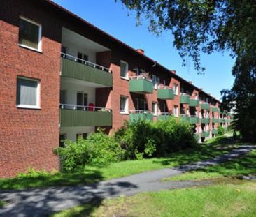 Doktor Liborius Gata 28 - Photo 1