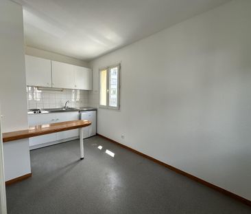 Location Appartement 1 pièce 19m² CHAMBERY 73000 - Photo 3
