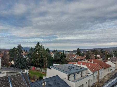 2 Zimmer-Wohnung nahe der Stammersdorfer Weingärten! Brünnerstraße 271 - Foto 3