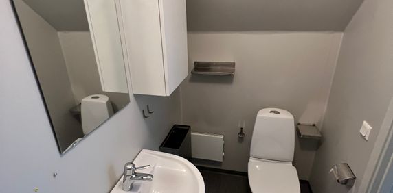 Hedvig Möllers gata, Lund - Photo 2