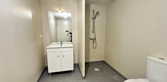 Location Appartement 1 pièce 39m² TOURS 37000 - Photo 2
