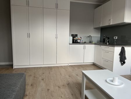 mieszkanie na wynajem Szczecin Centrum - Photo 3