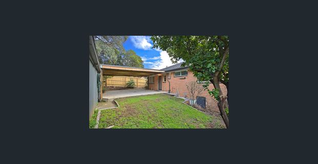 HIDDEN GEM - Photo 1