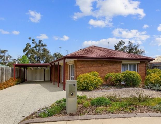 Something Special! - Photo 1