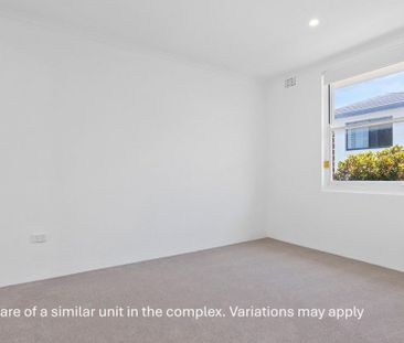 Stylish Ground Floor Apartment Moments from Elouera Beach - Photo 4