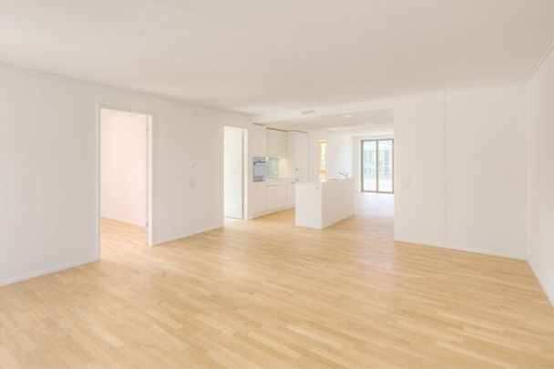 Neugrüen - Votre nouvelle maison - Photo 1