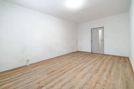 Pronájem bytu 3+1, s lodžií, 71 m - Photo 2