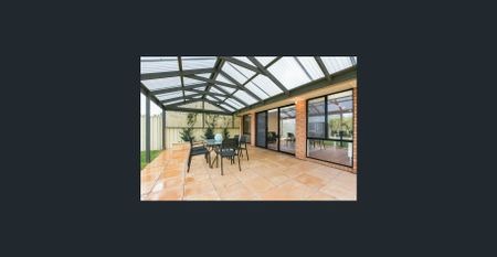 I’m bigger than I look! - Photo 4