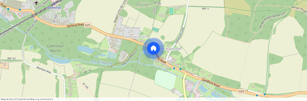Dorking Road, Abinger Hammer