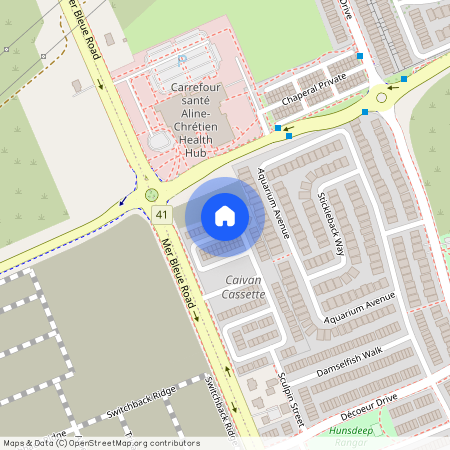 117 Ryan Reynolds Way, Orleans - Cumberland And Area