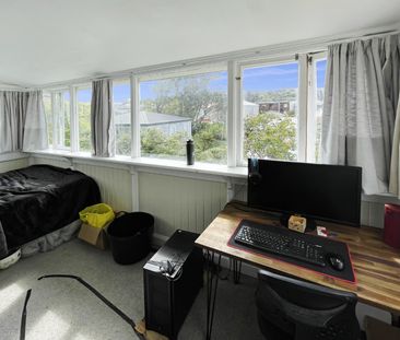 127 Wallace Street, Mount Cook Wellington. - Photo 4