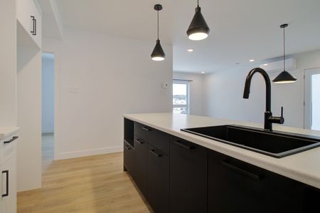 50, rue Michel-Robidoux #202, East-Angus - Photo 2