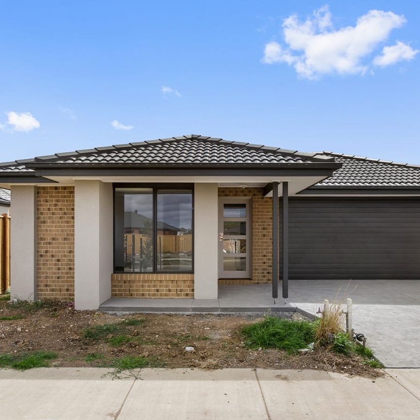 Prime Rental Opportunity - Photo 1