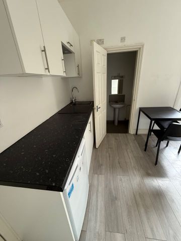 Studio Flat, Myddleton Road, N22 - Photo 3