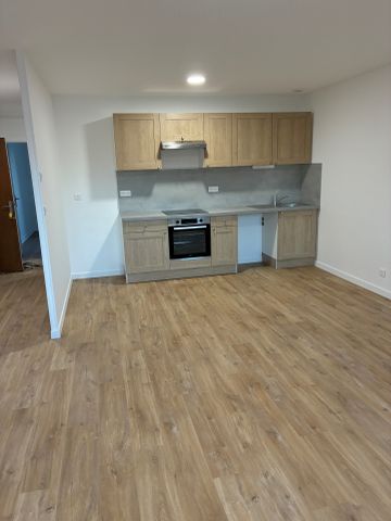 Location Appartement 2 pièces 56m² CHARLIEU 42190 - Photo 4