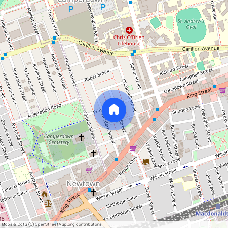 34 Egan Street, NSW 2042, Newtown