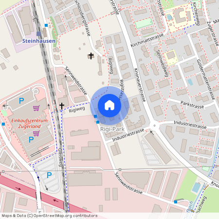 6312, Steinhausen, Rigistrasse, 13