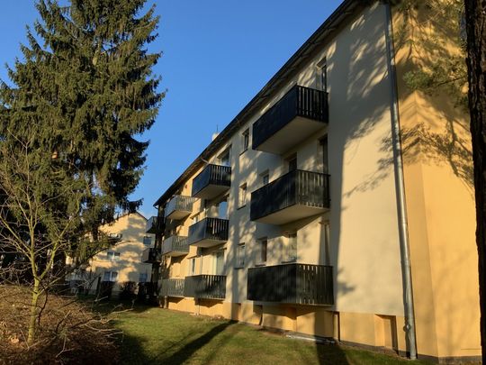 Schöne 3-Zimmer Wohnung mit Balkon im Eichenhain zu vermieten - Foto 1