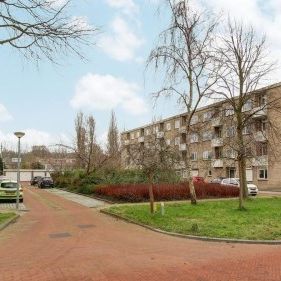 Apartment Alkmaar - Lievenshof - Photo 2