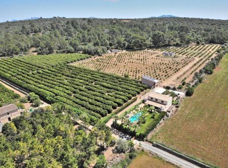 3 room luxury House for rent in Ariany, Balearic Islands - Photo 3