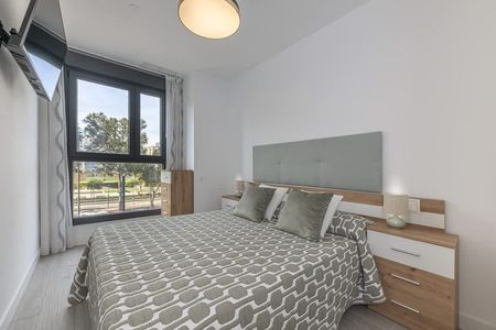 Paseo Martiricos - Foto 5