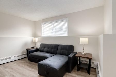 Renovated Suite - 2 Bedroom - Photo 3