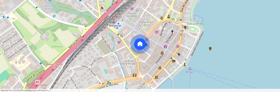 1110, Morges, Rue Des Charpentiers, 30