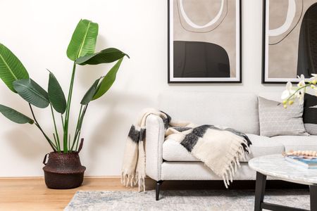 18/333 Bulwara Road, Ultimo NSW 2007 - Apartment For Rent | Domain - Photo 2