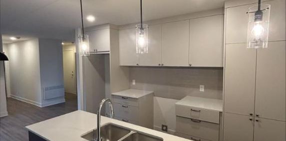 2 CH - 1 SDB - Saint-Hyacinthe - $1,400 /mo - Photo 2