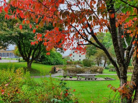 Kungsgatan, Borås - Foto 4