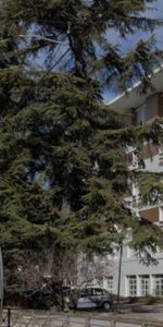 Location | 1 pièces | 21.88m² - Photo 4
