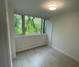 1 Bd 1 Bath apartment available for rent - Photo 4