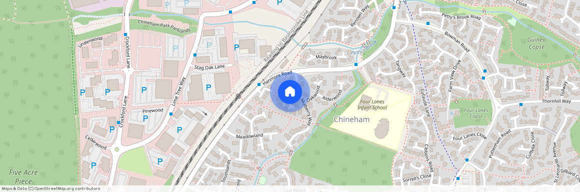 Birchwood, Chineham