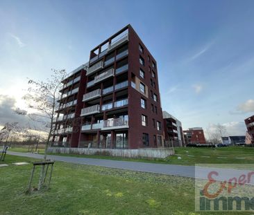 Appartement te huur in Harelbeke - Photo 4