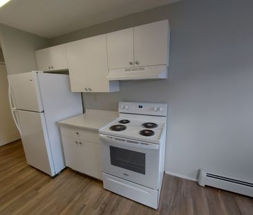 Fully Renovated Pet Friendly Unit - Photo 3