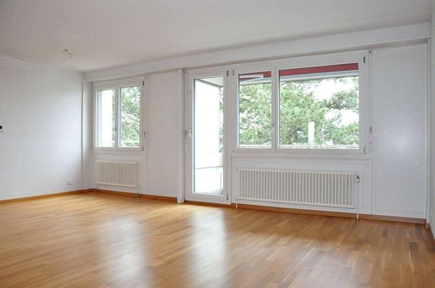 gemütliche und sonnige 3-Zimmerwohnung - Foto 1