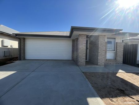 4 Desiree Street, Munno Para West, SA 5115 - Photo 4