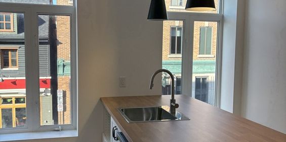 Magnifique 4 1/2 + Bureau Vieux-Lévis - Photo 3