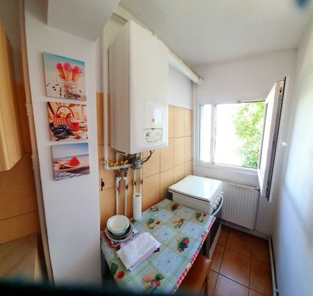 Giurgiului luica ilie oprea - Fotografie 4