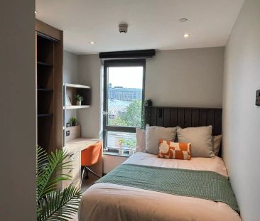 Premium Studio - Photo 5