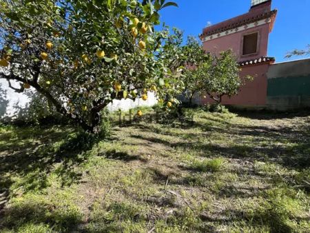Alquiler de chalet pareado en Paraje Pedregales-Polvitos, 38 - Photo 5