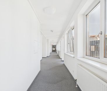 Erdgeschoss | 1 Zimmer-Wohnung | ab 01.12.2025 verfügbar - Photo 3