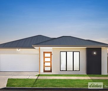 Zoned for Werribee Secondary – Brand New Family Home for Rent! - Photo 3