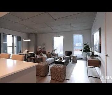 Laurence Condo Rentals in Old Montreal - Photo 3