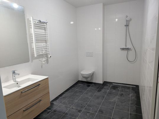 Victoriastein 76, De Steinen, 6714BX, Ede - Foto 1