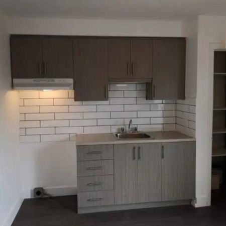 3 1/2 Delorimier et Jarry - Photo 3