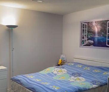 For Lease - 281 Weldrick Road Unit# Bsmt, Richmond Hill, Ontario - Photo 4